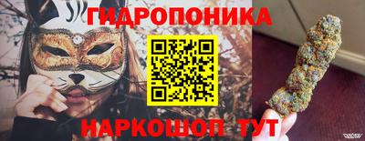 прущие грибы Севастополь