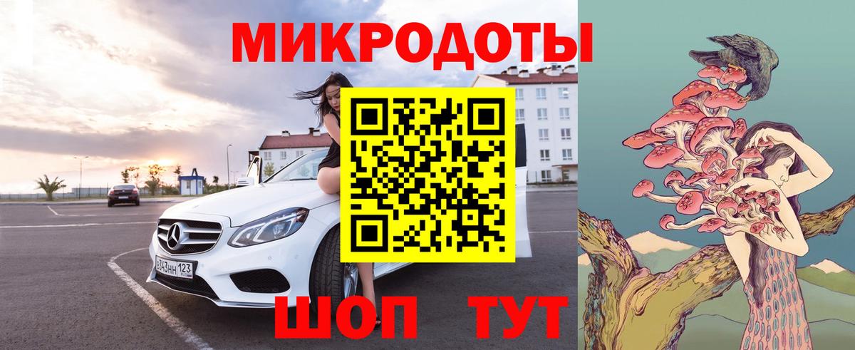 Галлюциногенные грибы Cubensis Сочи